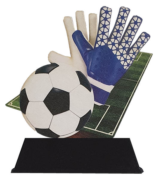 Voetbalkeeper WT0142